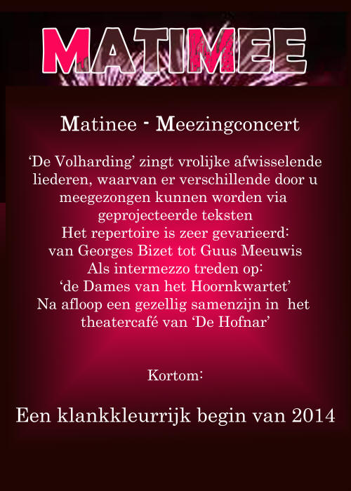 flyerMatiMee2014-achterzijde